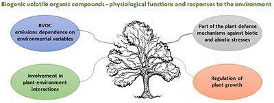 Editorial: Biogenic volatiles in natural and urban forest